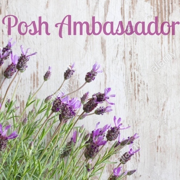 POSH AMBASSADOR - Picture 1 of 2